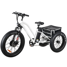 3 Wheel Electric Cargo Tricycle with Removable Lithium Battery